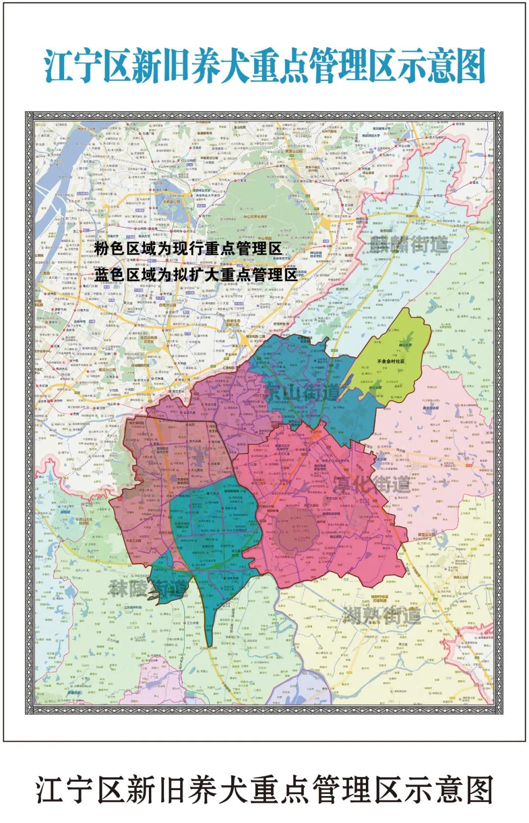 江宁5月1日起扩大养犬重点管理区域_秣陵街道