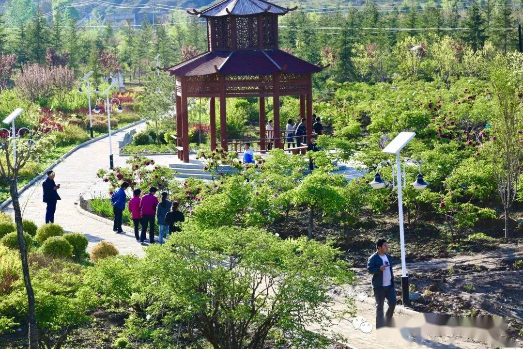 19.9元畅游漳县贵清山景区,贵清山植物园