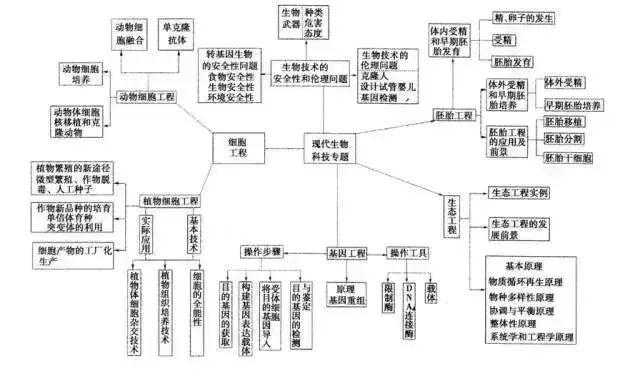 高中生物二轮复习必看的思维导图!(附pdf版可下载)