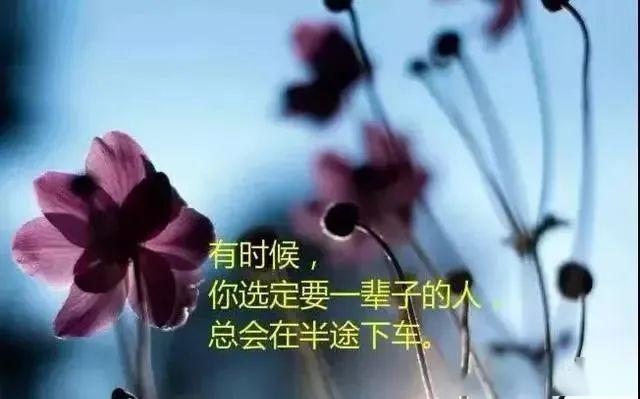 好的句子有哪些简短 179d9908383e4e4ea83d1eadd6cdba44.jpeg