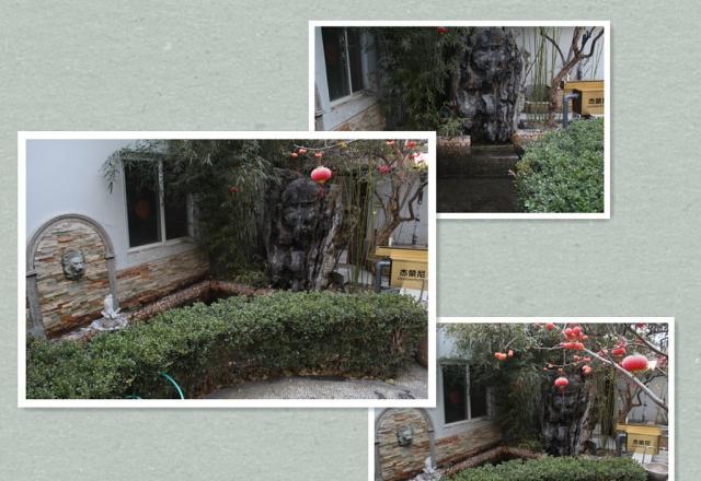 在家怎么养鱼简单又好养 182914c6dee3492ea1b0da1b453a3b2e.jpeg