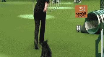 18448522c0004fd28558d3132edfcfb4.jpeg