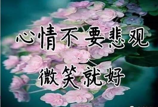 1cda8bafe496440ca9a3a3755380b30f.jpeg