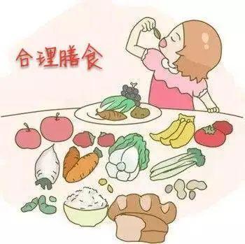 合理饮食