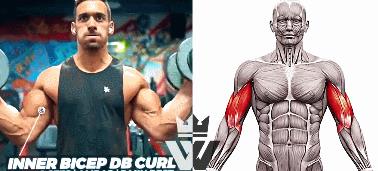 快速练出麒麟臂 20102afacb5c472e88a6c1e2bd11ba31.jpeg