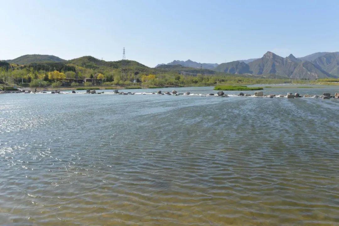 永定河门头沟段补水启动!两年后全线变身湿地公园