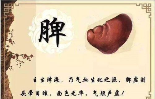 脾气虚怎么运动 2439048c71914e55b306d2ff9254caca.png