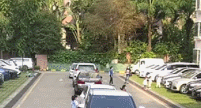 29dea1a6458a414f8b88c175a9d2f4a3.gif