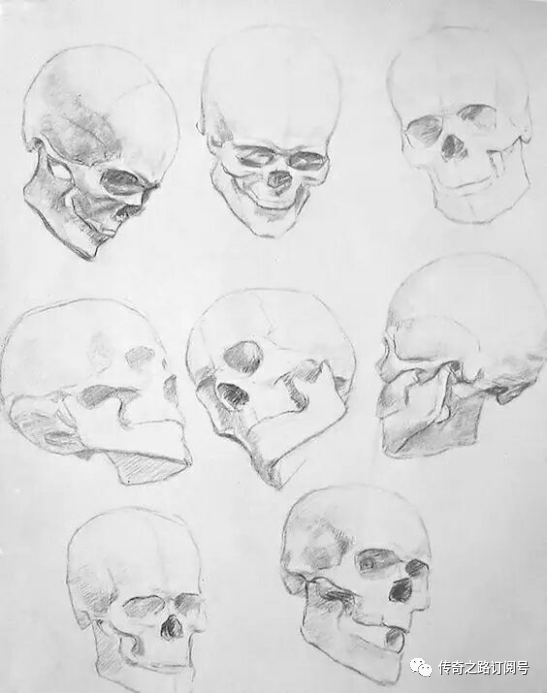 下面进行头部肌肉结构,头骨结构讲解,头骨讲解,各种角度的头骨.
