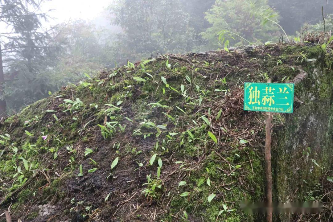 香粉乡人口_融水县香粉乡地图