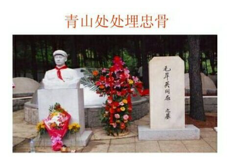 部编版五年级语文下册《青山处处埋忠骨》教材解读与学法指导