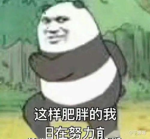 3339684ed0724d2889d8930ada9b0730.jpeg