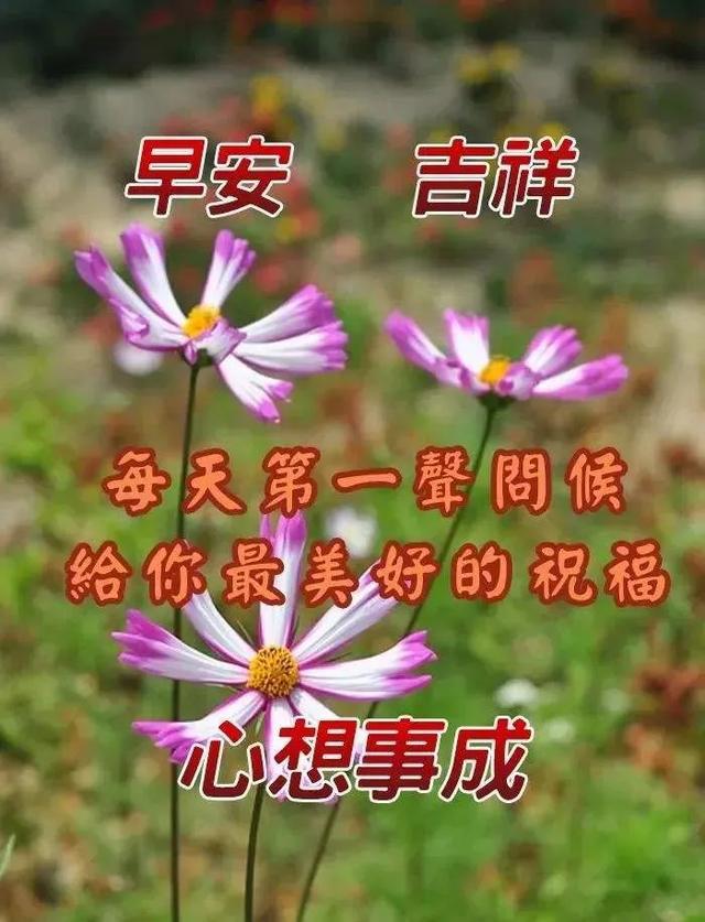 34771287a88f47ac88c76fb56c6725ba.jpeg