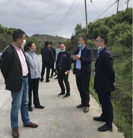 袁州区乡镇GDp_袁州区这个乡镇向你报告 春节...