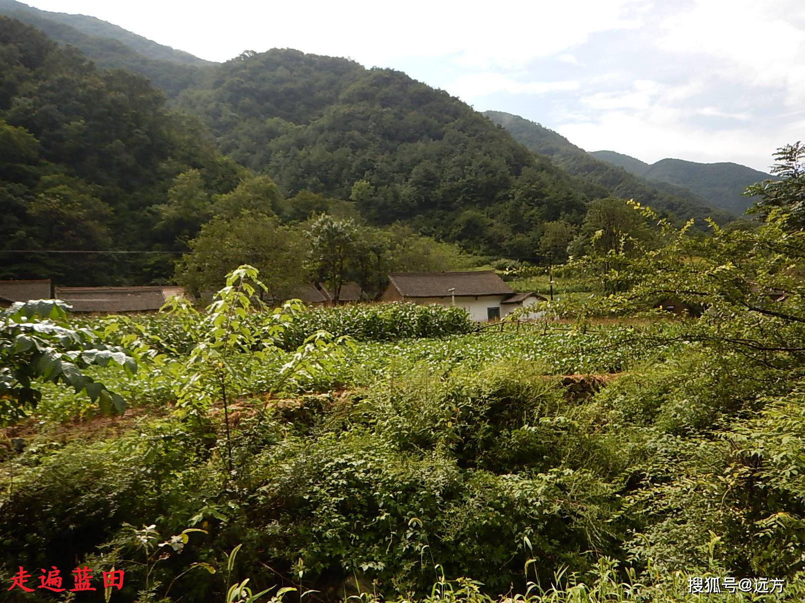 走遍蓝田2018辋川镇核桃沟村穿越旅行3