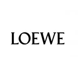 loewe罗意威巴黎时装周2020秋冬系列