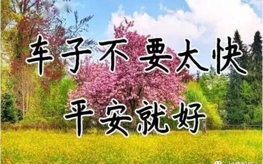 4e1f84eab90a45c9a25a073b6a9c99e9.jpeg