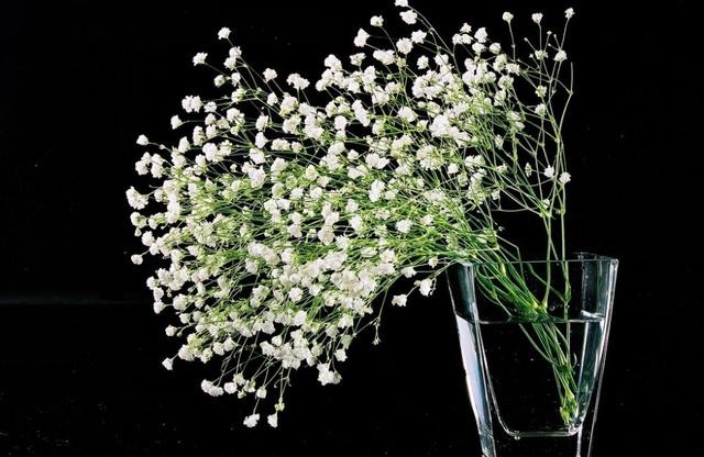 梦见自己买了一束鲜花要载花，探索梦境中的花语与自我成长