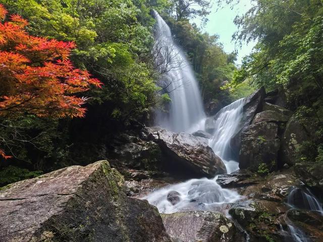 云游大围山,徜徉在万亩杜鹃花海里_景区