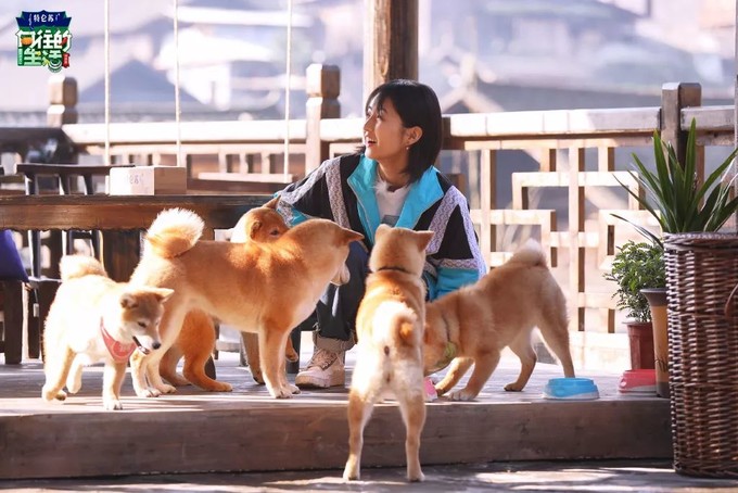 蘑菇屋第一季在哪看 57f845159a3d4c78a126d558e44e319a.jpeg