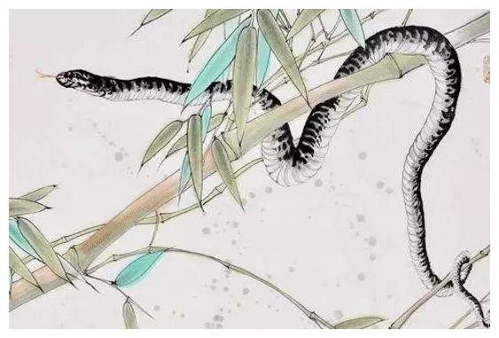 蛇是哪一年本命年 6165cdfaaf1d4df1aa0235011759381d.jpeg