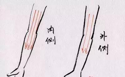 别让保健成伤害教你全身各处的具体刮痧方法