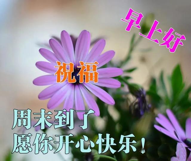 6659f039a8554947874d0020f35ab947.jpeg