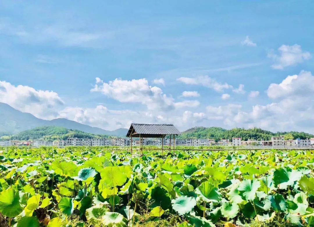 四季田园农旅小镇