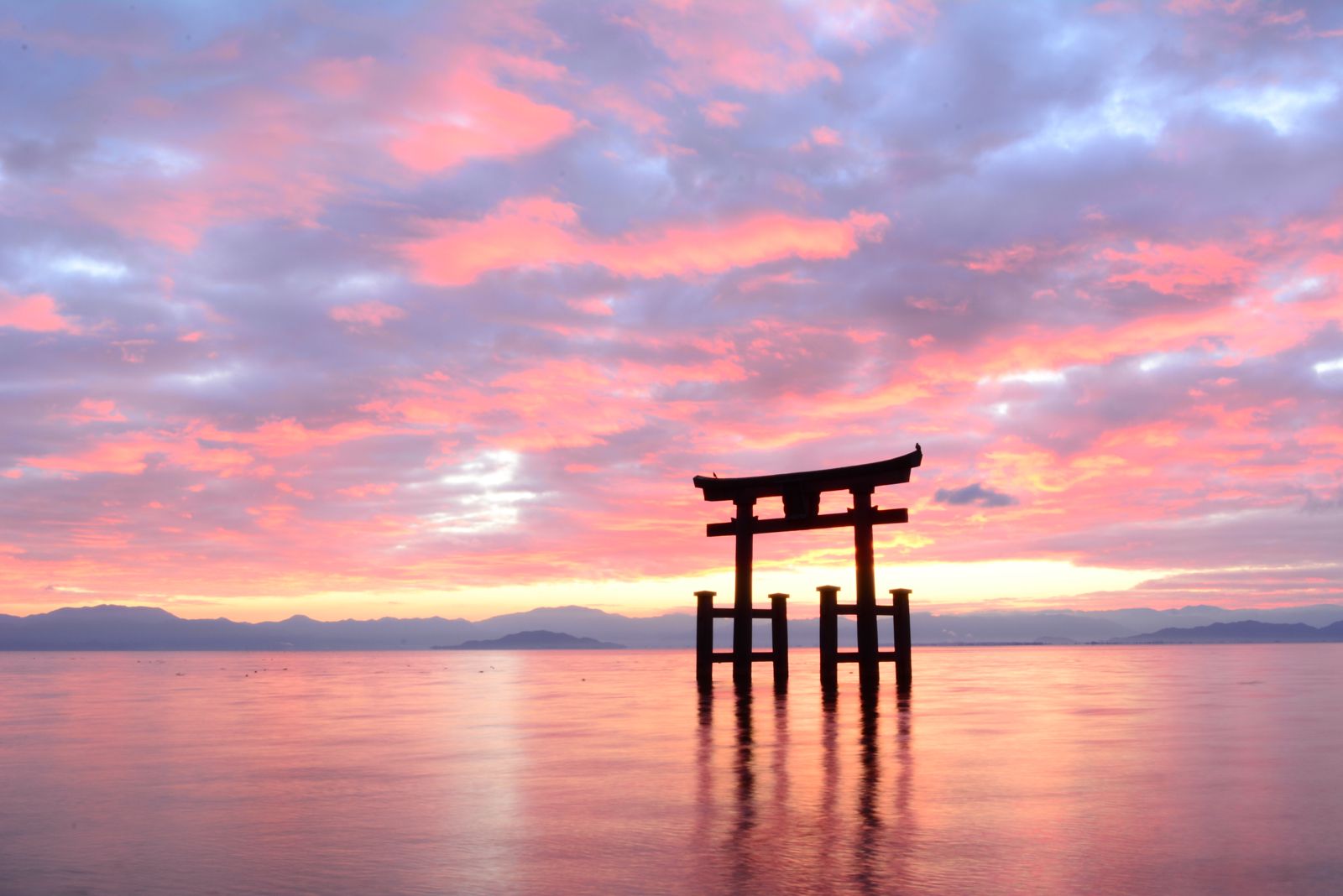 遍布日本的全国海边鸟居10选!