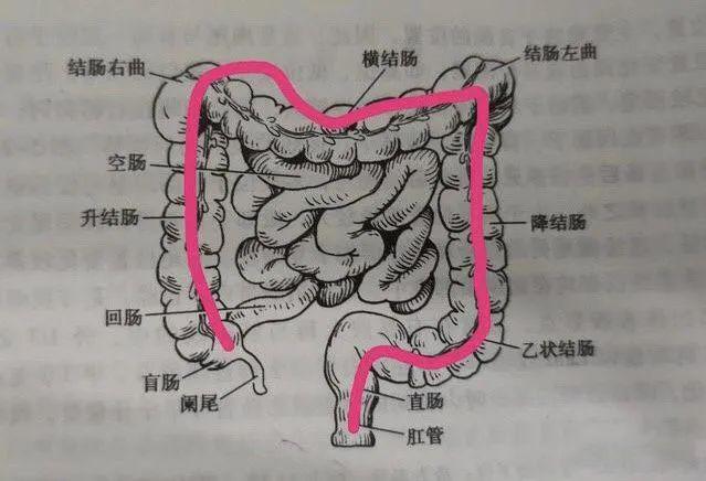 "肠癌并不是悄无声息,可是我们却常常忽略症状"一