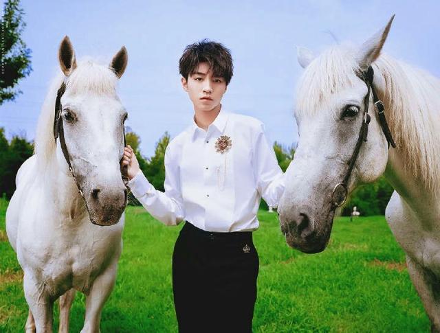 什么叫做白马之盟 72f4c4d82f6f45f1bb81666369a72ea9.jpeg