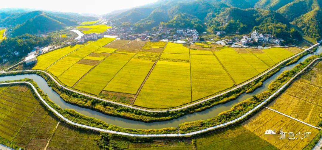潭坑村现代化丝苗米产业园建设