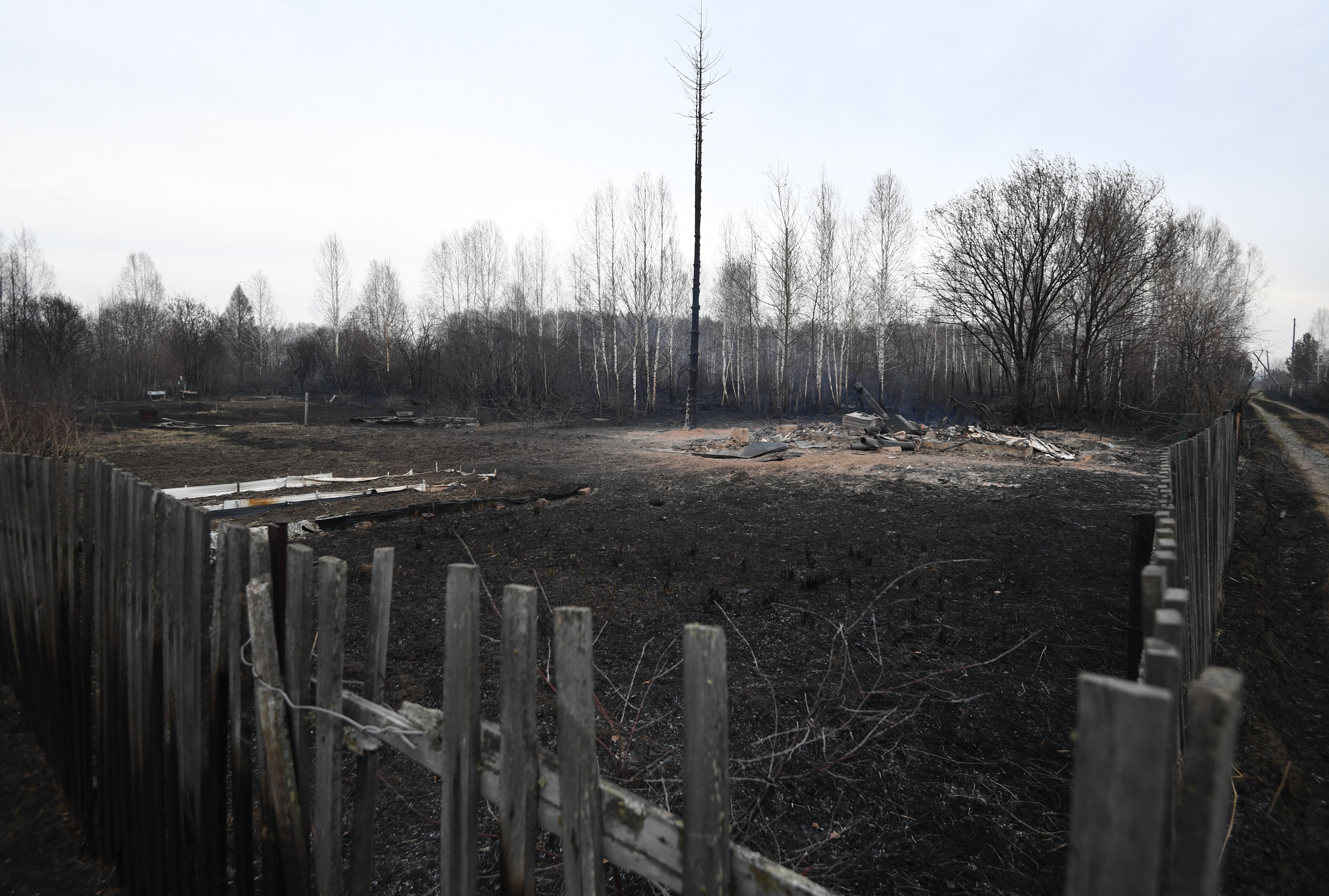 俄羅斯新西伯利亞發生火災 國際 第6張