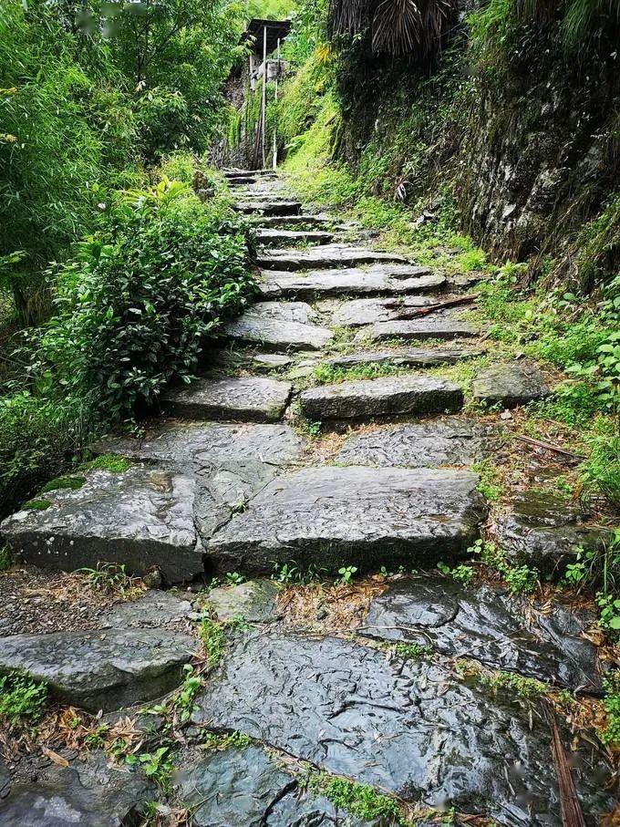 5月2日,箬岭古道 旌歙古道徒步体验一日游