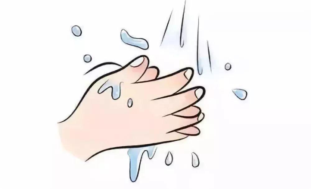 【健康科普】杜绝病原微生物传播,从讲卫生勤洗手开始