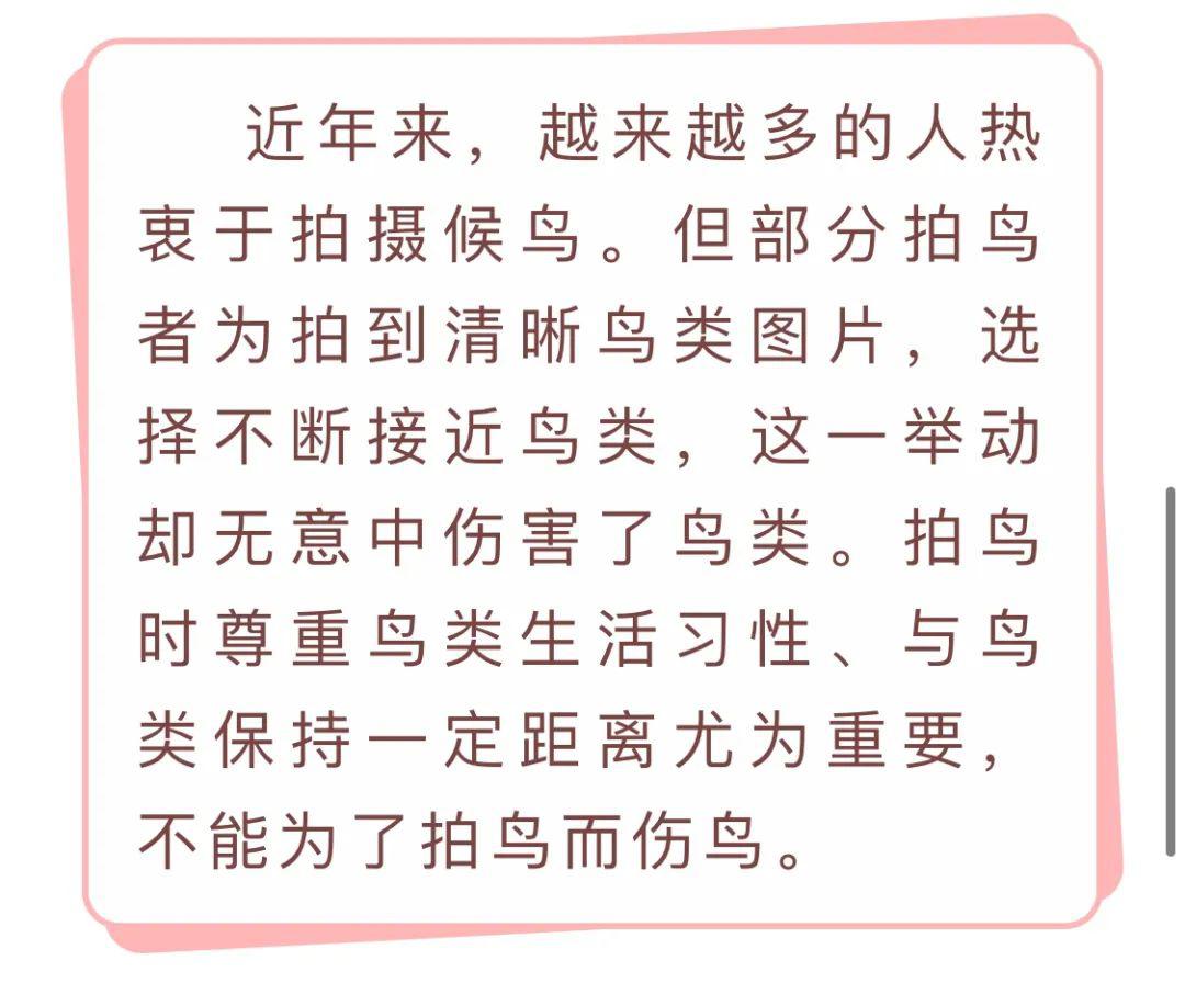 游泳简谱_游泳图片卡通(2)