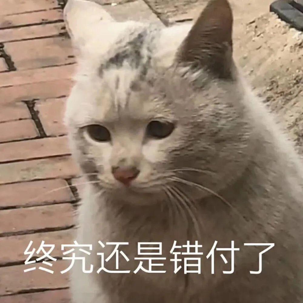 狂背单词分儿不提？一直忽略的这一点才是你的提分关键！