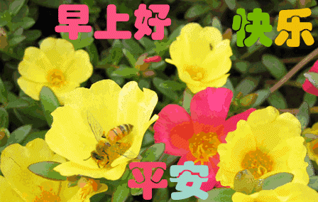 4月24日周五清晨早上好问候祝福动态表情图片_早安