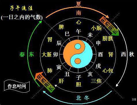 什么是子午流注详解视频 9e44d7d42fd64fdbb86c74e003d0921d.jpeg