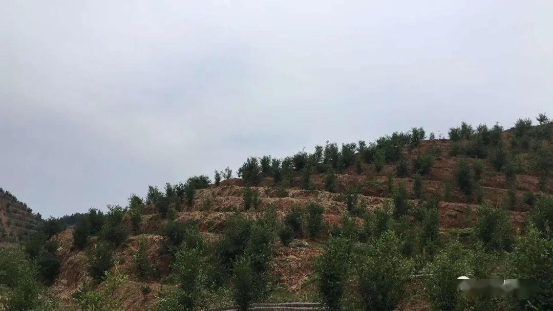 袁州区乡镇GDp_袁州区这个乡镇向你报告 春节...(2)