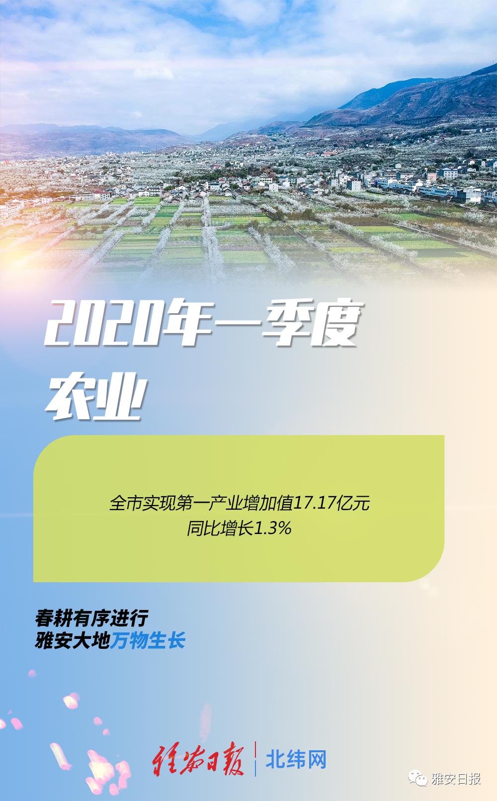 雅安市2020年GDP_雅安市地图