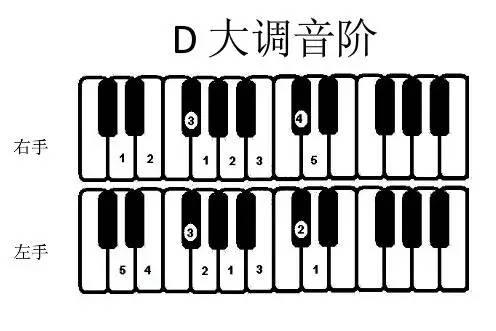 郎朗教你弹好音阶附常用大小调音阶指法表赶紧收藏