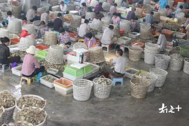 汫洲镇gdp_浙江日报 伏季休渔开始了