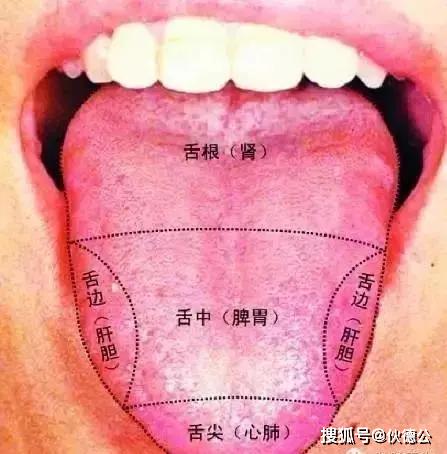 1,舌前半部分红:肺火