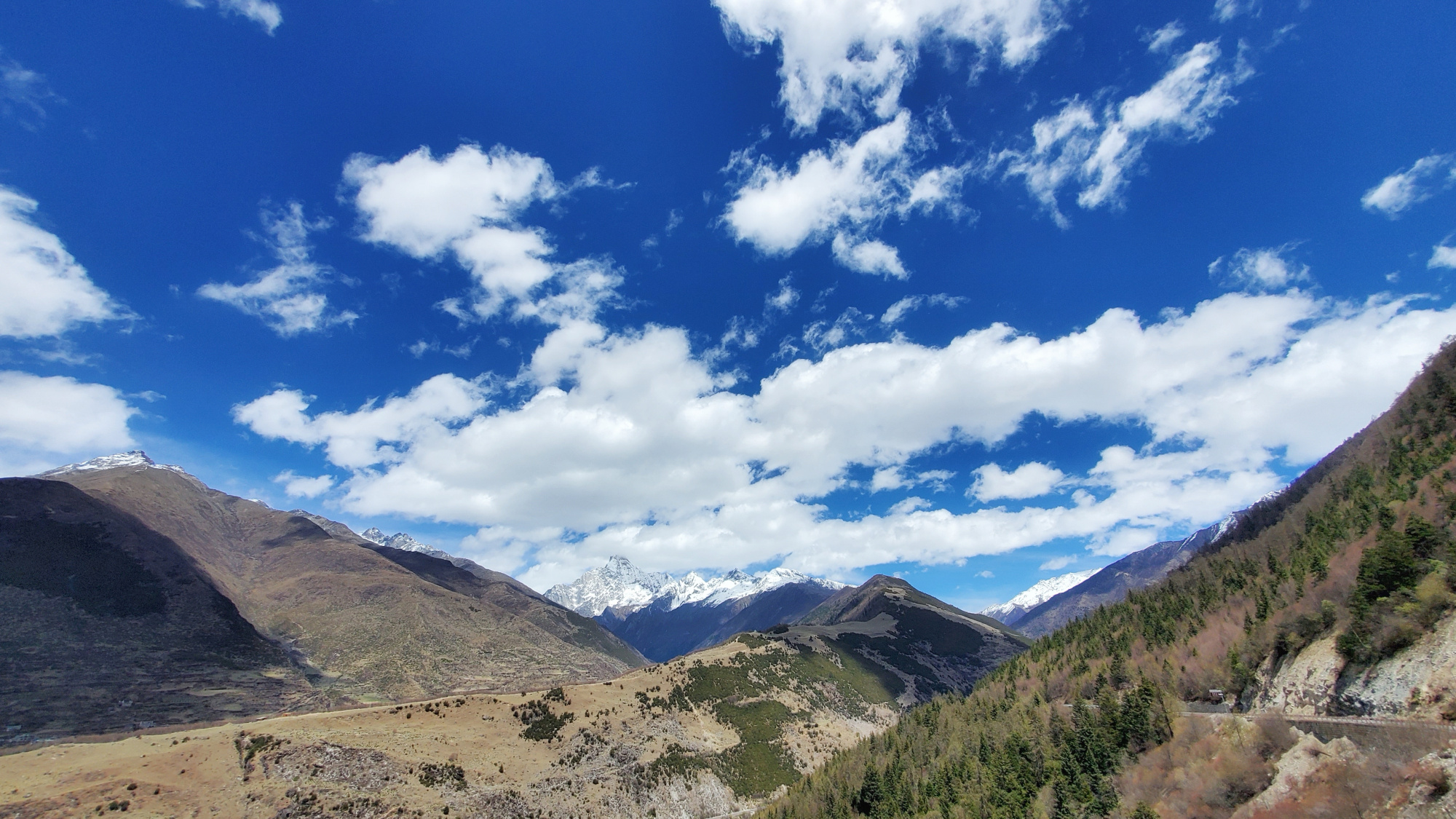 四川的四姑娘山作为我国著名的风景名胜区,一年四季风景如画,你知道