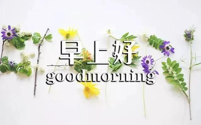 c9d2ff1734594e74ad8f94eb9cbd0fe7.jpeg