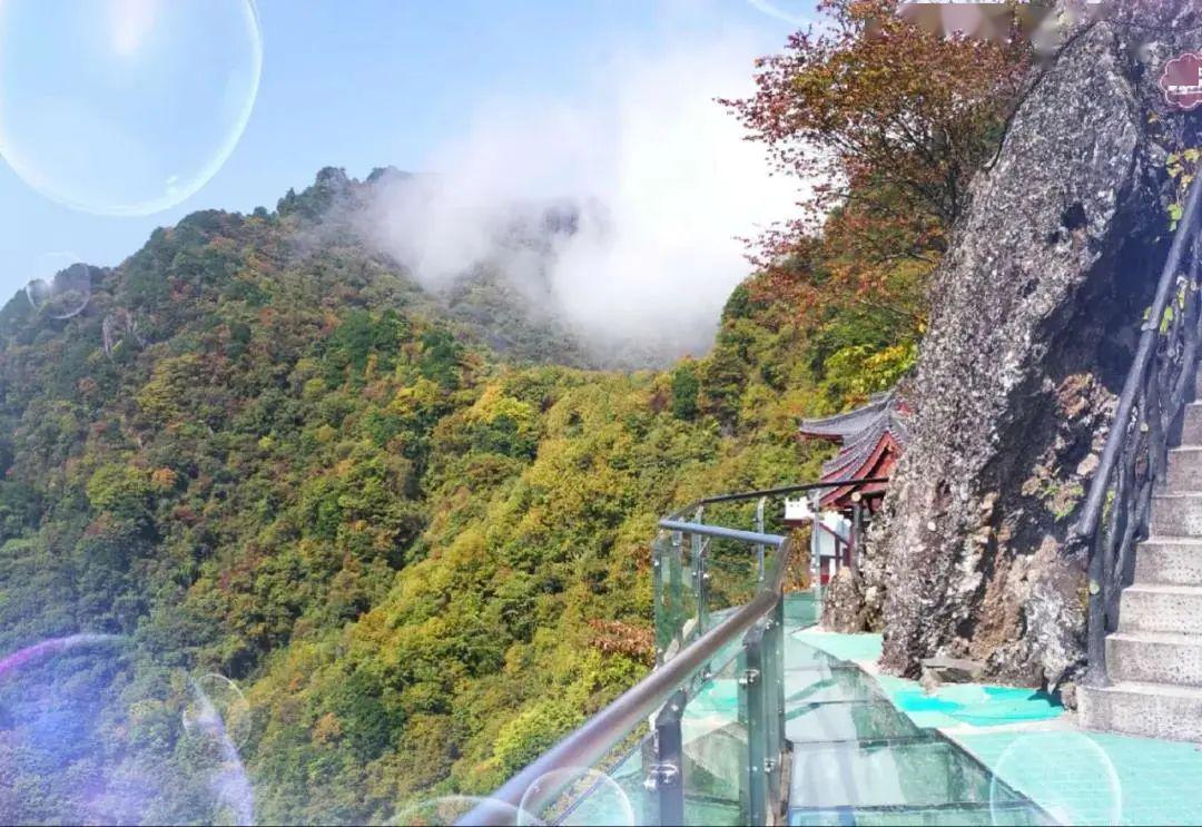 南宫山是国家级森林公园 景区内鸟类众多 让我们在游玩的同时付出