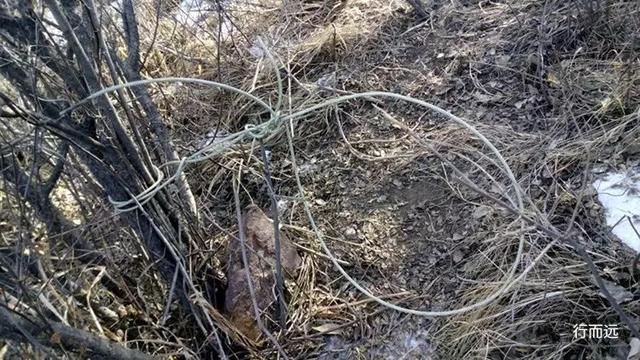 原创苍岩山附近的罗垴你去过吗小伙冒险完成这次穿越网友惊险