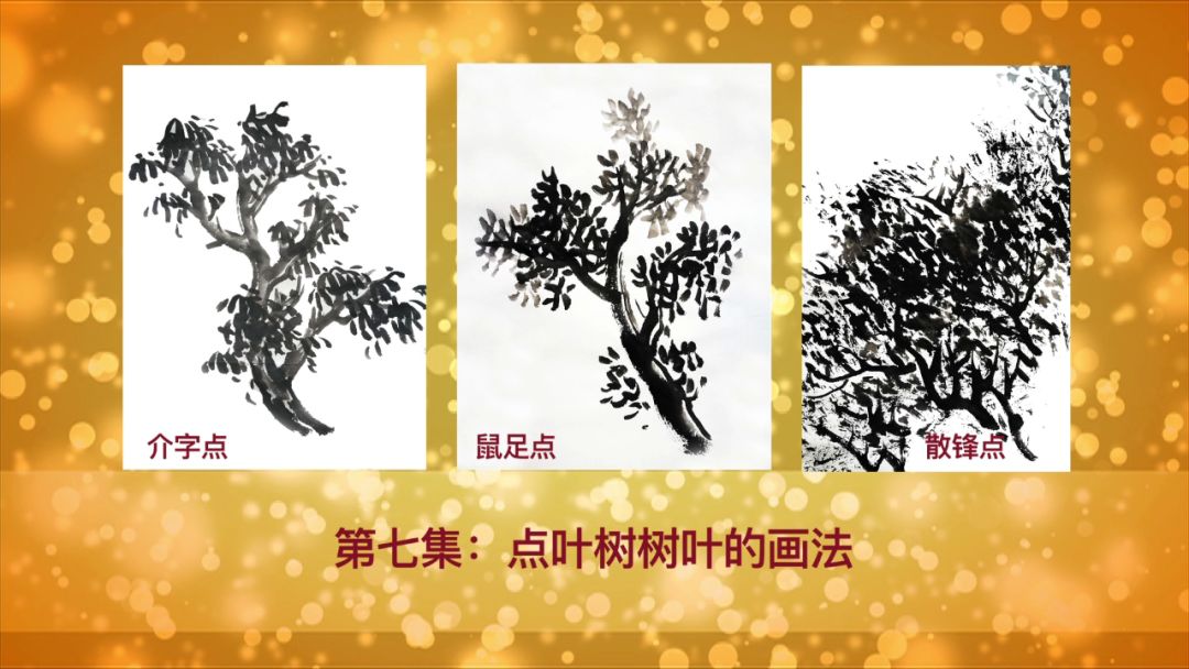 第7集点叶树树叶的画法节目预告