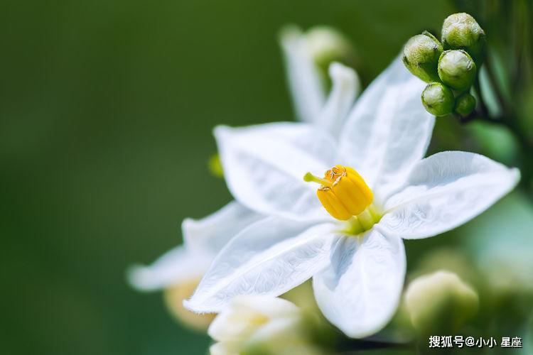 這三名生肖女相貌清秀，氣質獨特，看到第一眼就讓人難以忘懷！ 星座 第4張